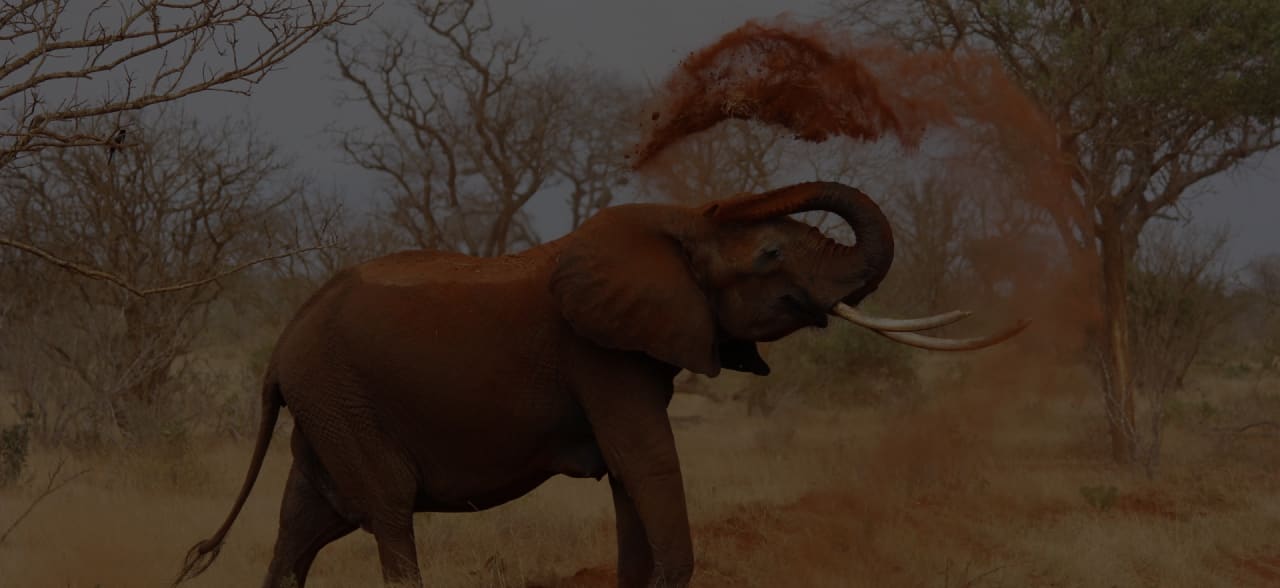 tfe-team-Edgar-Brothers-hero